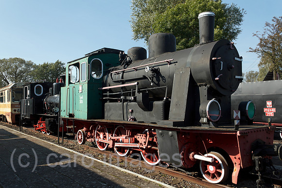 0SP101005D050CARO.JPG