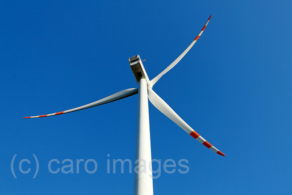 0SP101004D222CARO.JPG