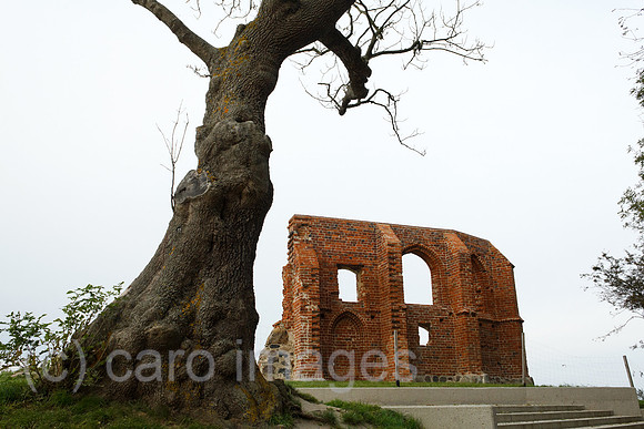 0SP101008D008CARO.JPG
