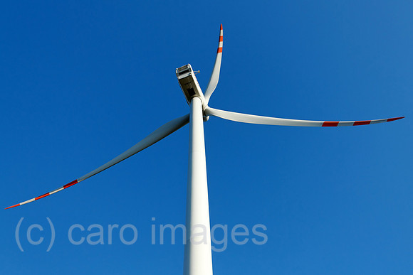 0SP101004D227CARO.JPG