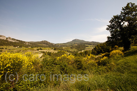 0SH120510D259CARO.JPG