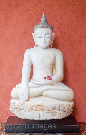 0SH110130D018CARO.JPG
