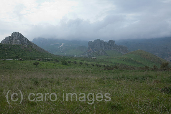 0SH110525D009CARO.JPG