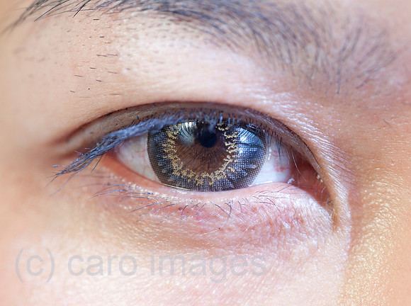 0SH110203D001CARO.JPG