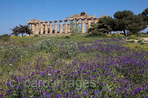 0SH110526D008CARO.JPG