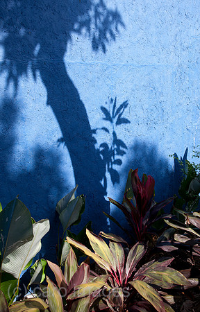 0SH110202D029CARO.JPG