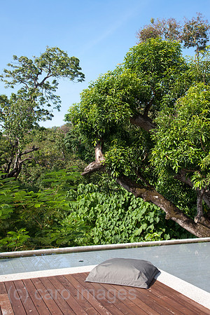 0SH110202D035CARO.JPG