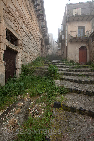 0SH110525D005CARO.JPG