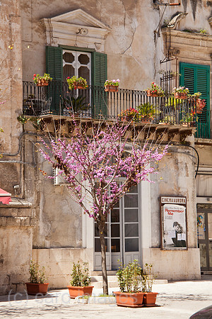 0SH110519D016CARO.JPG