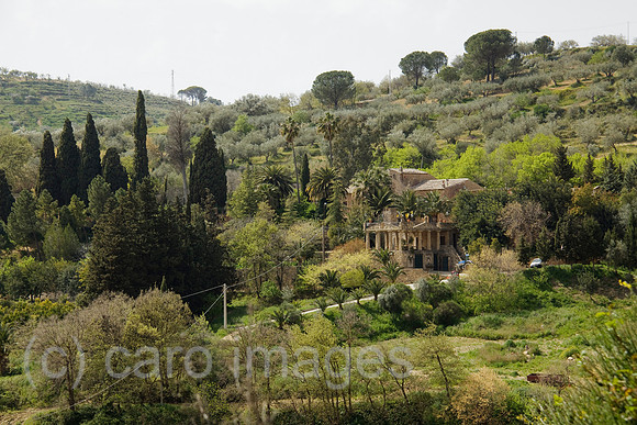 0SH110522D006CARO.JPG