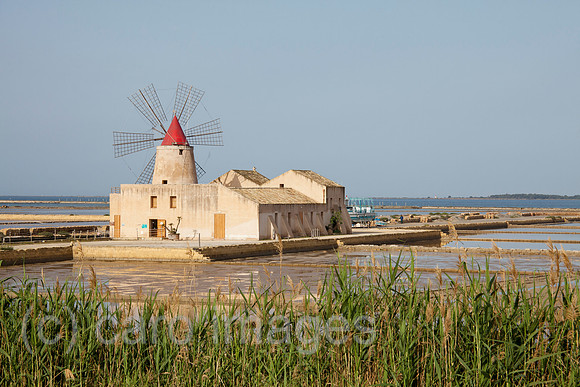 0SH110527D015CARO.JPG