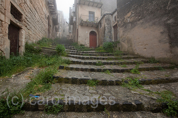 0SH110525D004CARO.JPG