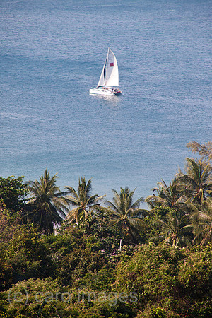 0SH110206D019CARO.JPG