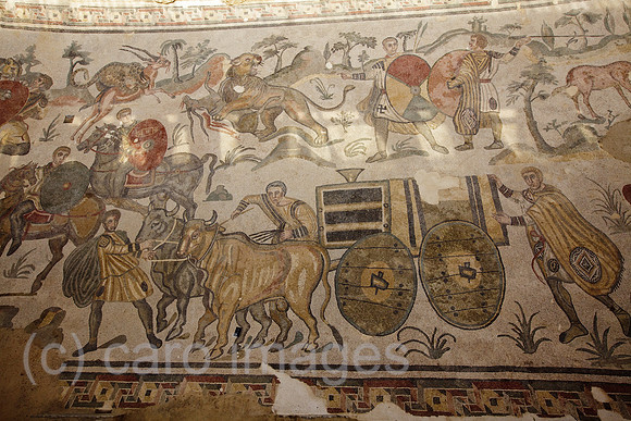 0SH110522D009CARO.JPG