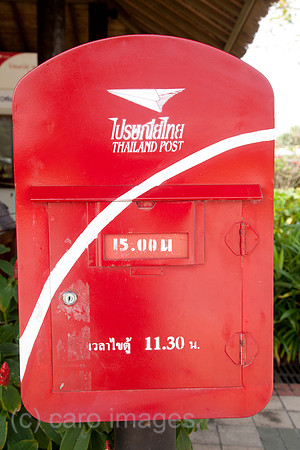 0SH110201D009CARO.JPG