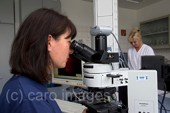 EBS11092206CARO.JPG