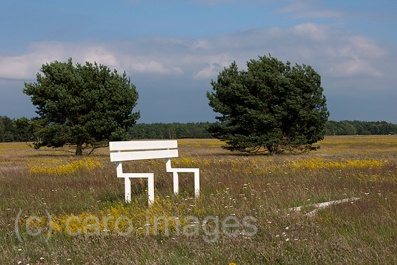 EBS11071027CARO.JPG