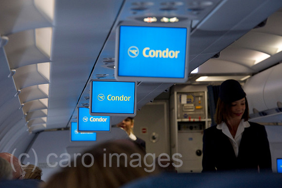 EBS11120030CARO.JPG