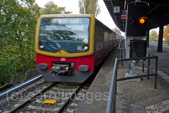 EBS11100750CARO.JPG