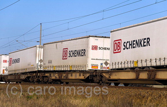 EBS11120060CARO.JPG