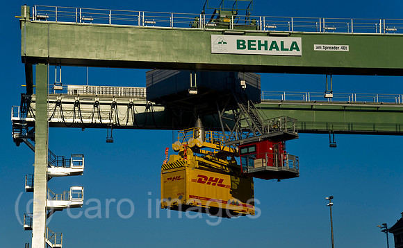 EBS11092745CARO.JPG
