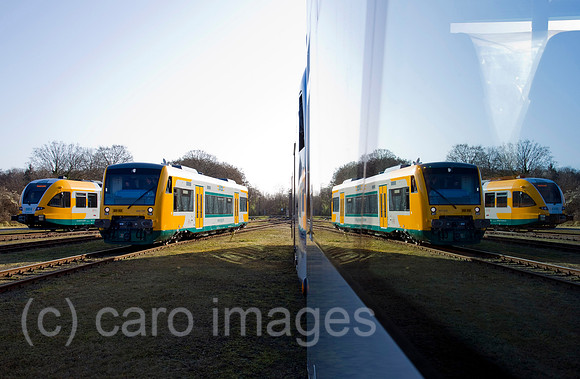 EBS11110871CARO.JPG