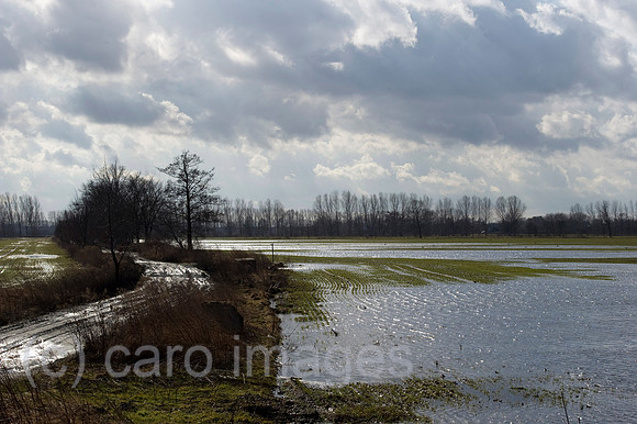 EBS12020839CARO.JPG