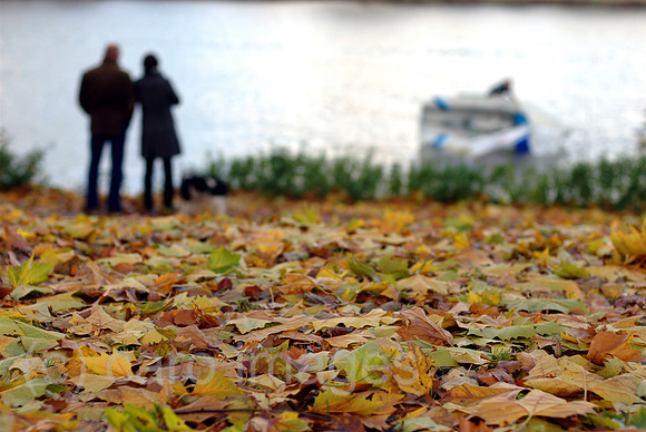 0RC101107D004CARO.JPG