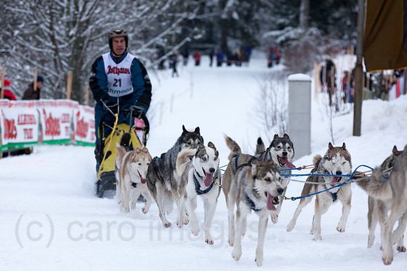 0RA120129D008CARO.JPG
