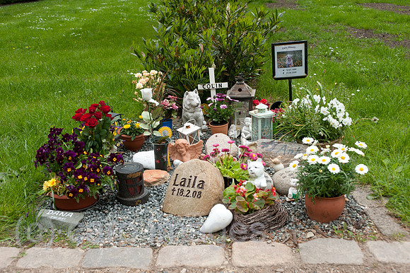 0RX100527D230CARO.JPG