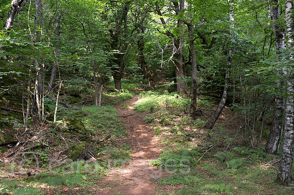 0RA120802D003CARO.JPG