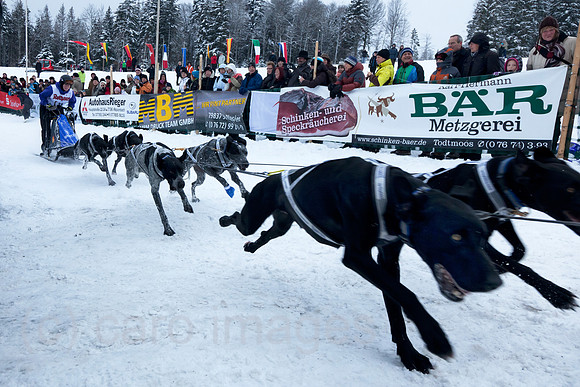 0RA120129D003CARO.JPG