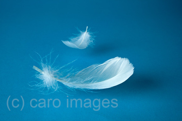 0RA111126D002CARO.JPG