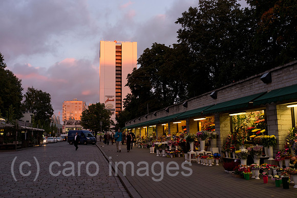 0RA110927D059CARO.JPG