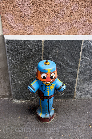 0RA120731D025CARO.JPG