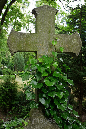 0SP100622D066CARO.JPG