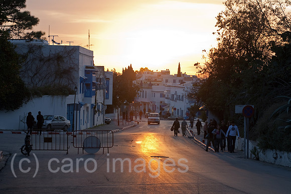 0SP091126D269CARO.JPG