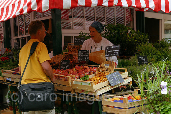 0SJ080710D005CARO.JPG