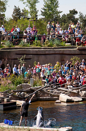 0SH130313D070CARO.JPG