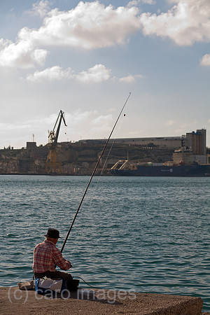 0SP091127D066CARO.JPG