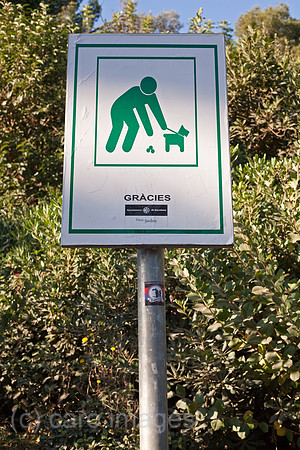 0SP091124D384CARO.JPG