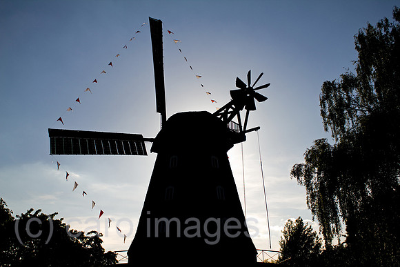 0SP100605D020CARO.JPG