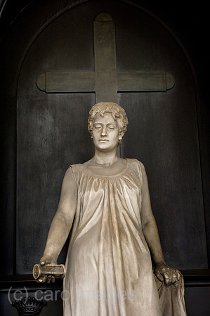 0CE100723D017CARO.JPG