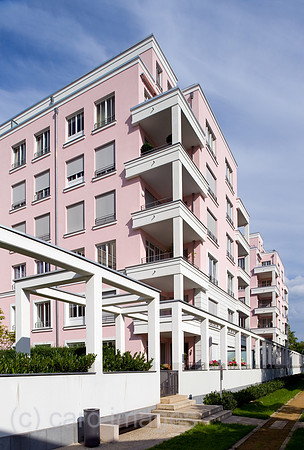 0CE100824D011CARO.JPG