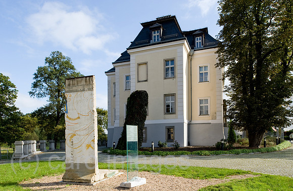 0CE101001D011CARO.JPG