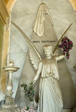0CE100723D012CARO.JPG
