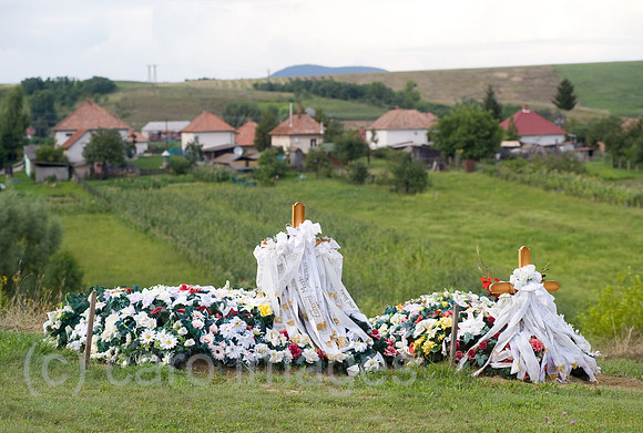 0CE100809D006CARO.JPG