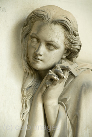 0CE100723D006CARO.JPG