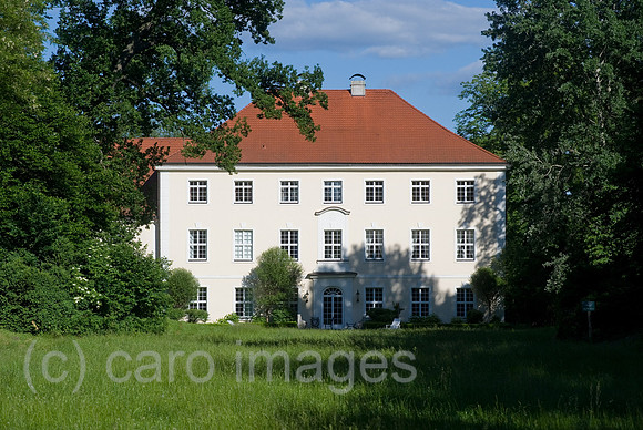 0CE100616D026CARO.JPG