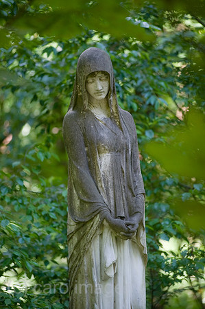 0CE100624D024CARO.JPG